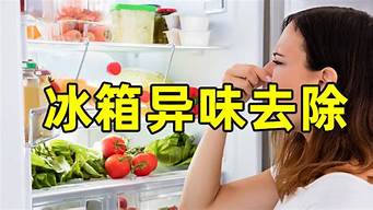 冰箱除臭最佳方法_冰箱除臭最佳方法视频_